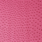 Precut Vinyl - Serengeti Ostrich - Fuschia - 18"x54"