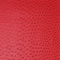 Precut Vinyl - Serengeti Ostrich - Red - 18"x54"