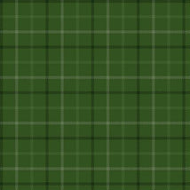 Primo Plaids: Holiday Cheer-Flannel Green PP091975-GREEN