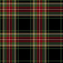 Primo Plaids: Holiday Cheer-Flannel Multi PP091970-MULTI