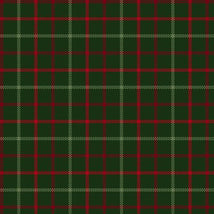 Primo Plaids: Holiday Cheer-Flannel Multi PP091975-MULTI
