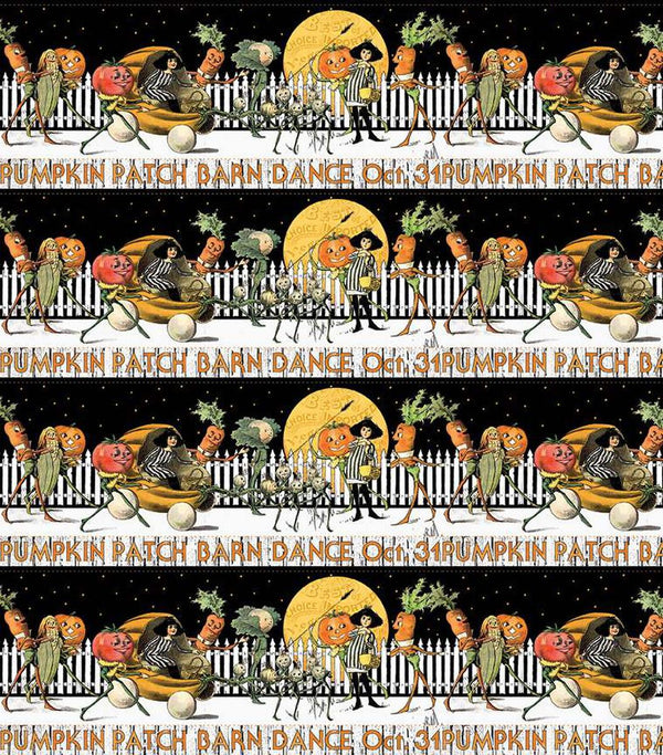 Pumpkin Patch-Barn Dance Border Stripe C14573-WHITE