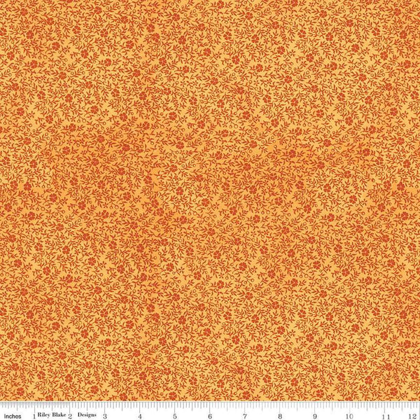 Pumpkin Patch-Inside Clover CD14582-ORANGE