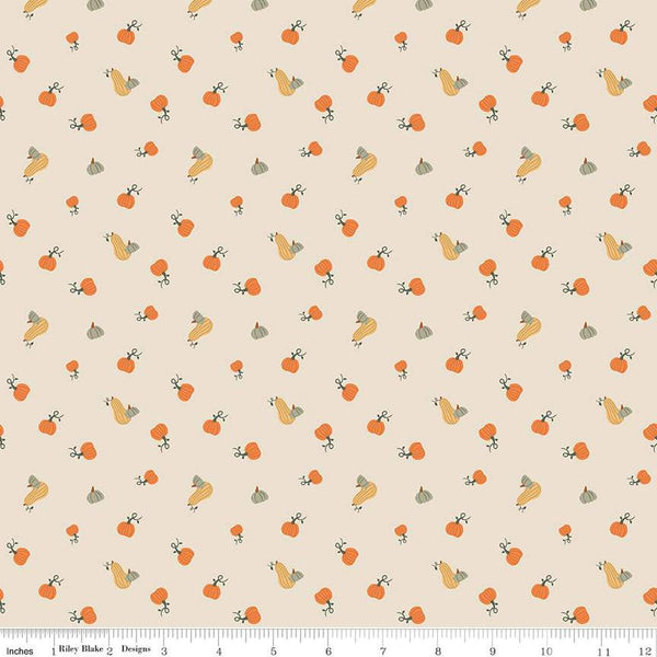 Pumpkin Spice-Pumpkins Ivory C14993-IVORY