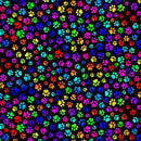 Puparazzi-Bright Dog Paw Prints Multi DOG-CD4364-MULTI