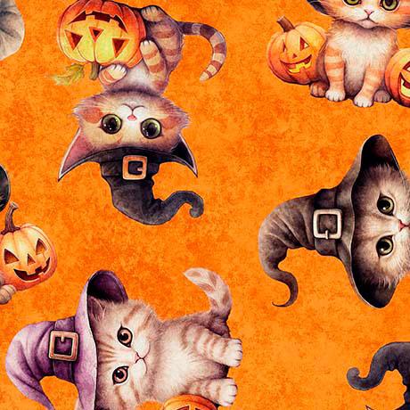 QT Cuties - Halloween Kittens ORANGE 31178-O