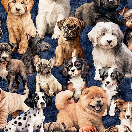 QT Cuties 2-Pack Of Puppies Denim 2600-31448-W