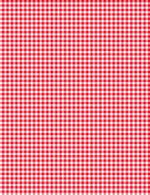 Classics-Mini Gingham White/Red 1817-39161-133