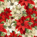 Poinsettia Radiance-Packed Poinsettia Cream/Red W110-006-306
