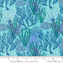 Reef-Coral Reef Algae 27341-24