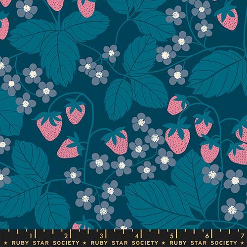 Reimagined Landscapes - Strawberry Field - Galaxy RS6054-16