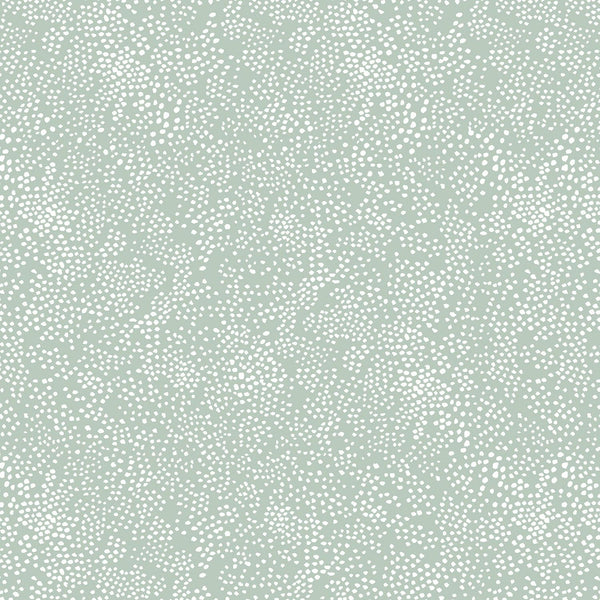 Rifle Paper Co Basics-Menagerie Champagne Mint RP502-MI2