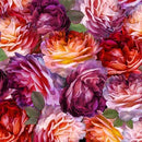 Rose Grace-Packed Roses 2600-29915-P