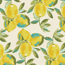 Sage Knits-Yuma Lemons Mist K-14453