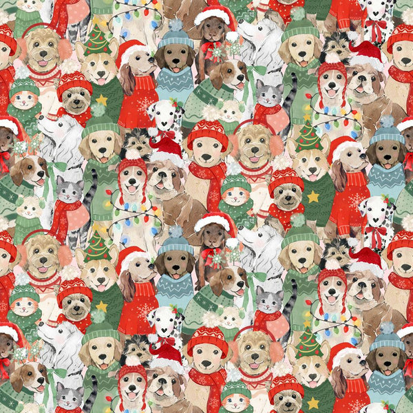 Santa Paws Digital Posing Pets Y4428-55