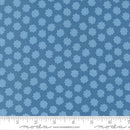 Scenery-Puffball Coastal 51276-15