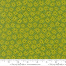 Scenery-Sedum Limeade 51270-14