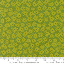Scenery-Sedum Limeade 51270-14