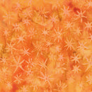 Sea Stars-Orange Cheddar 712502270