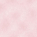 Shadow Blush Basic-Shadow Blush Baby Rose 0204509B