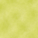 Shadow Blush Basic-Shadow Blush Grape Green 020450PB