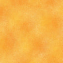 Shadow Blush Basic-Shadow Blush Mango 0204537B