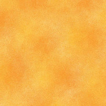 Shadow Blush Basic-Shadow Blush Mango 0204537B