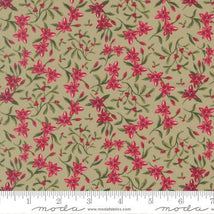 Silent Night-Sage 40055-14