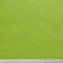 Silky Minky-Fern Green E-SILKY-FERN