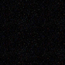 Speckled Dots - Black DOT-CD3085