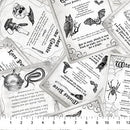 Spellbound - Spells White Multi 28142-10