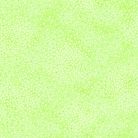 Spotsy 2600-29912-H