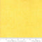 Spotted-Lemon 1660-13