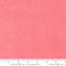 Spotted-Tea Rose 1660-21
