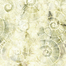 Stone Strata-Fossil Spirals Neutral Alabaster 112518038