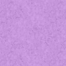 Stucco-Aster W110-001-405