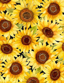 Sunflower Splendor 83326-952