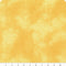 Sunkissed 1665-33919-555