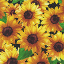Sunshine Whispers-Packed Sunflowers Black 28653-952