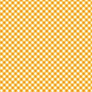 Sweet Gingham-Gingham Squash 17237-33