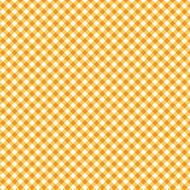 Sweet Gingham-Gingham Squash 17237-33
