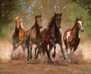 Taking Flight 1-35" Panel Multi WW-3326-5C-MULTI