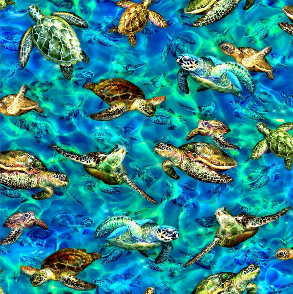 The Deep-Turtles OA-597841