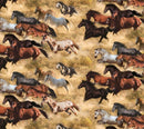 Thunder & Dust-Running Horses Multi 741-MULTI