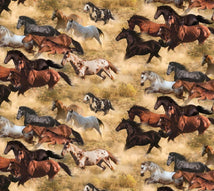 Thunder & Dust-Running Horses Multi 741-MULTI