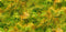 Turning Colors-Tonal Leaves Green OA598711-GREEN