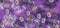 Uniwax Prints From Ivory Coast-Purple UW-24724-4