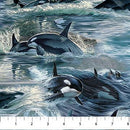 Voyage - Naturescapes-Orcas Blue Multi DP29117-48
