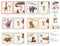 Whose Nose & Toes-36"Soft Book Panel Beige 7309-BEIGE