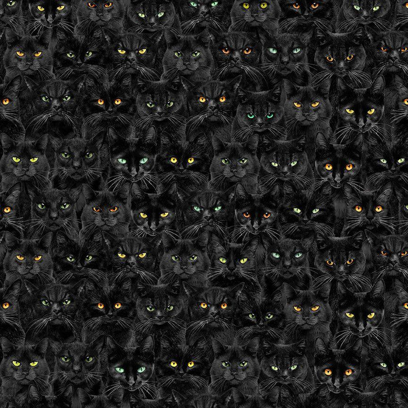 Wicked Black Cats Magic-BLack CAT-CD1831-BLACK